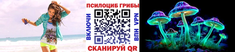 Псилоцибиновые грибы Psilocybe Лахденпохья